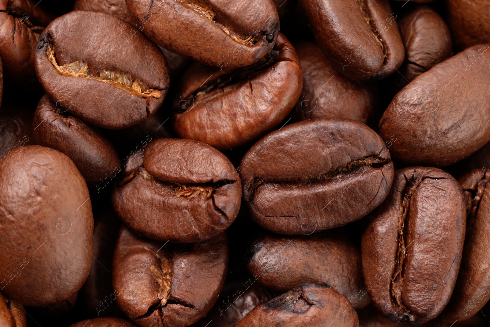 Photo of Aromatic roasted coffee beans as background, top view