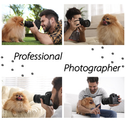 Image of Collage of professional animal photographer taking pictures 