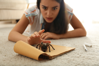 Photo of Young woman and tarantula on carpet. Arachnophobia (fear of spiders)