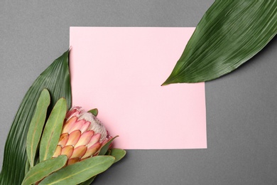 Photo of Creative flat lay composition with tropical leaves and protea flower on gray background