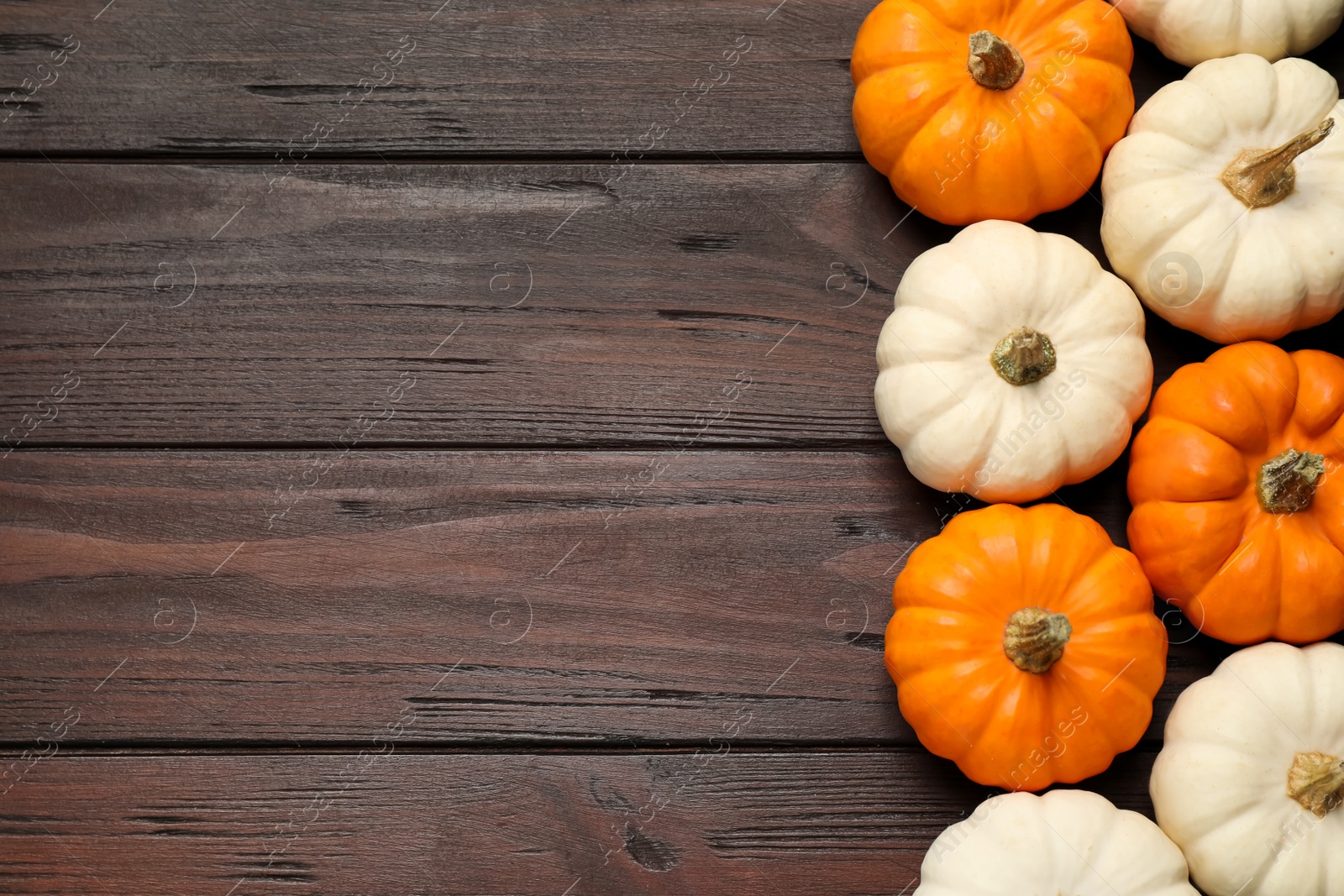 Photo of Many white and orange pumpkins on wooden table, flat lay. Space for text