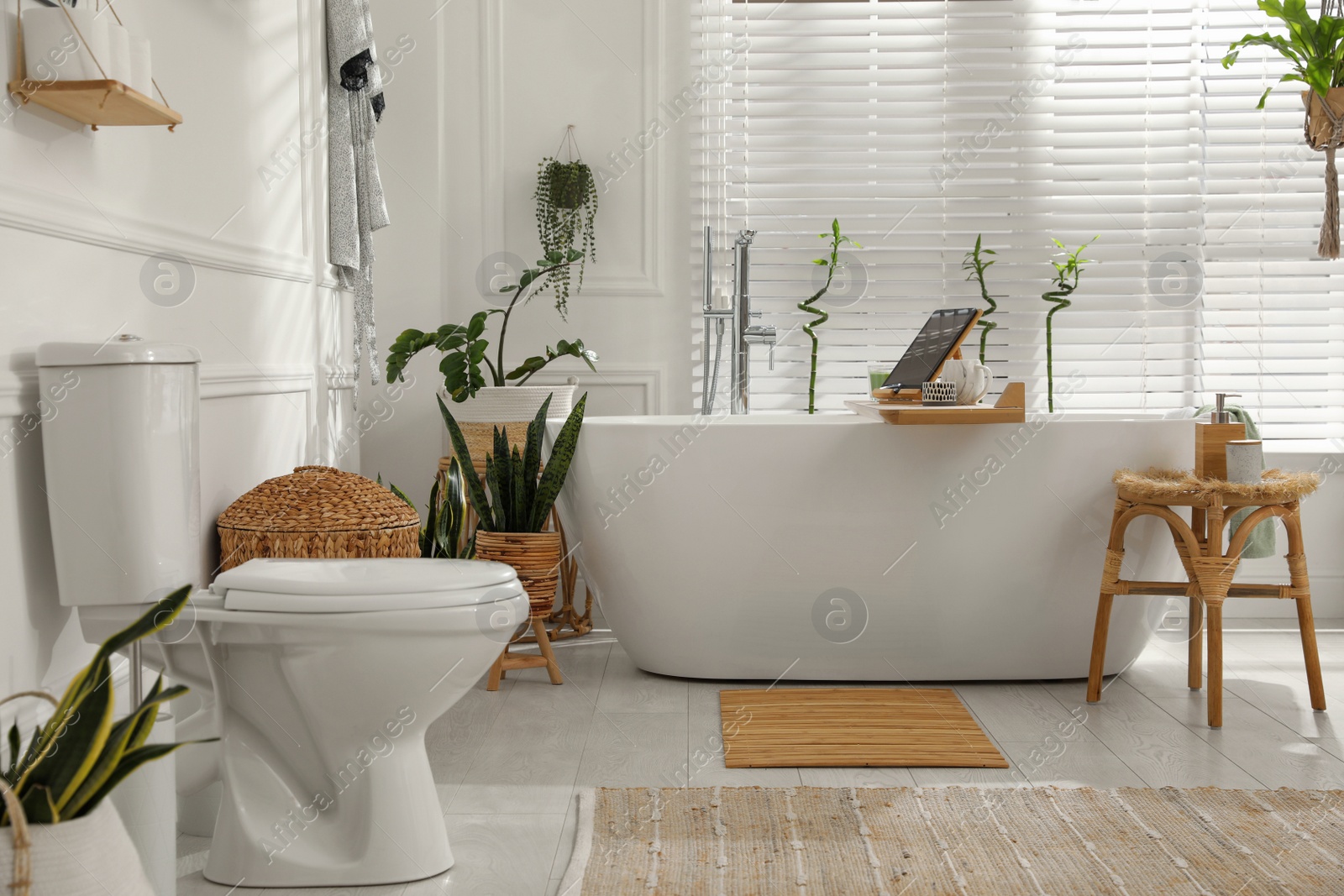 Photo of Stylish white tub and green houseplants in bathroom. Interior design