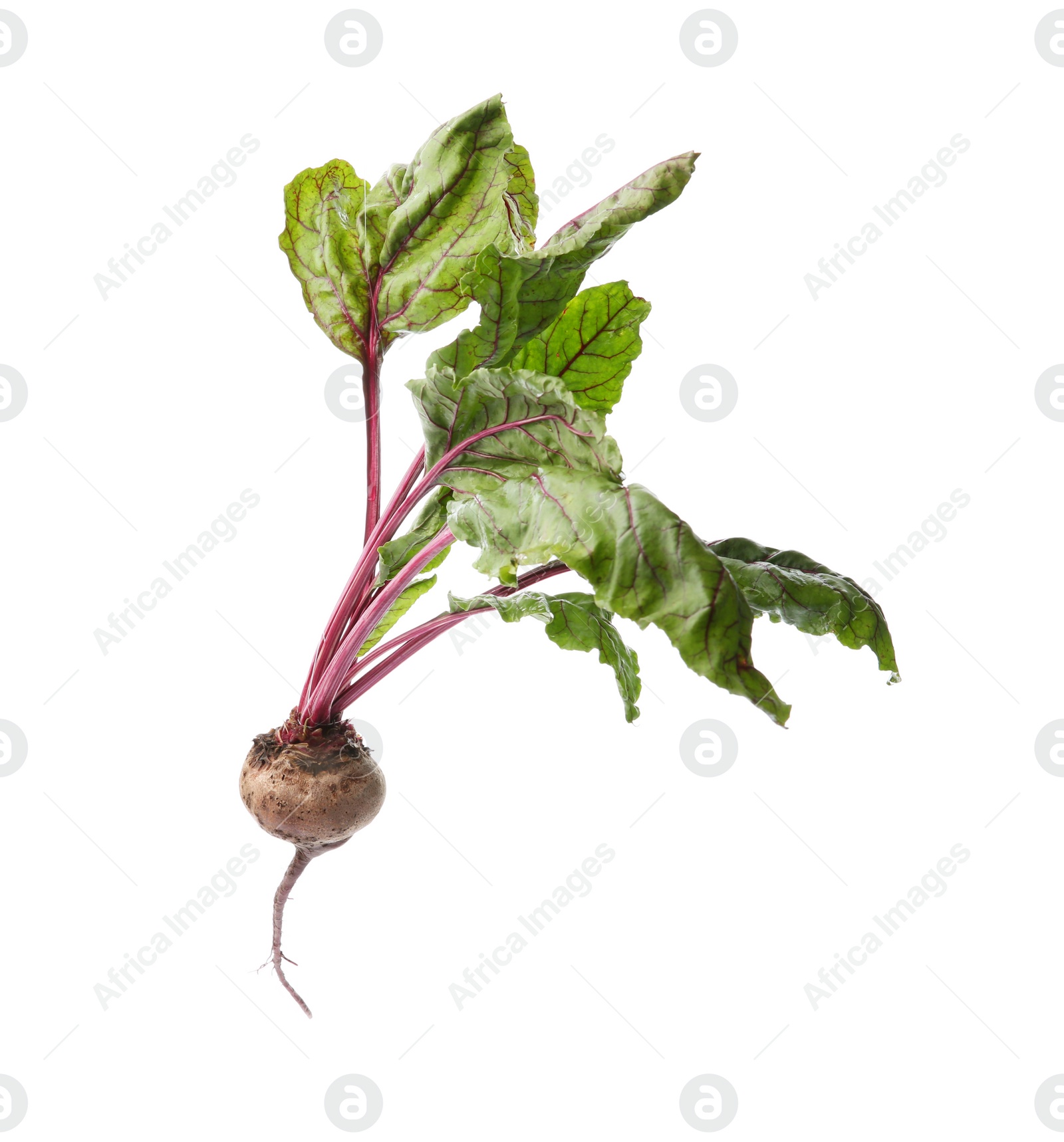 Photo of Fresh beet with leaves on white background