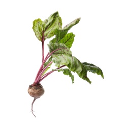 Photo of Fresh beet with leaves on white background