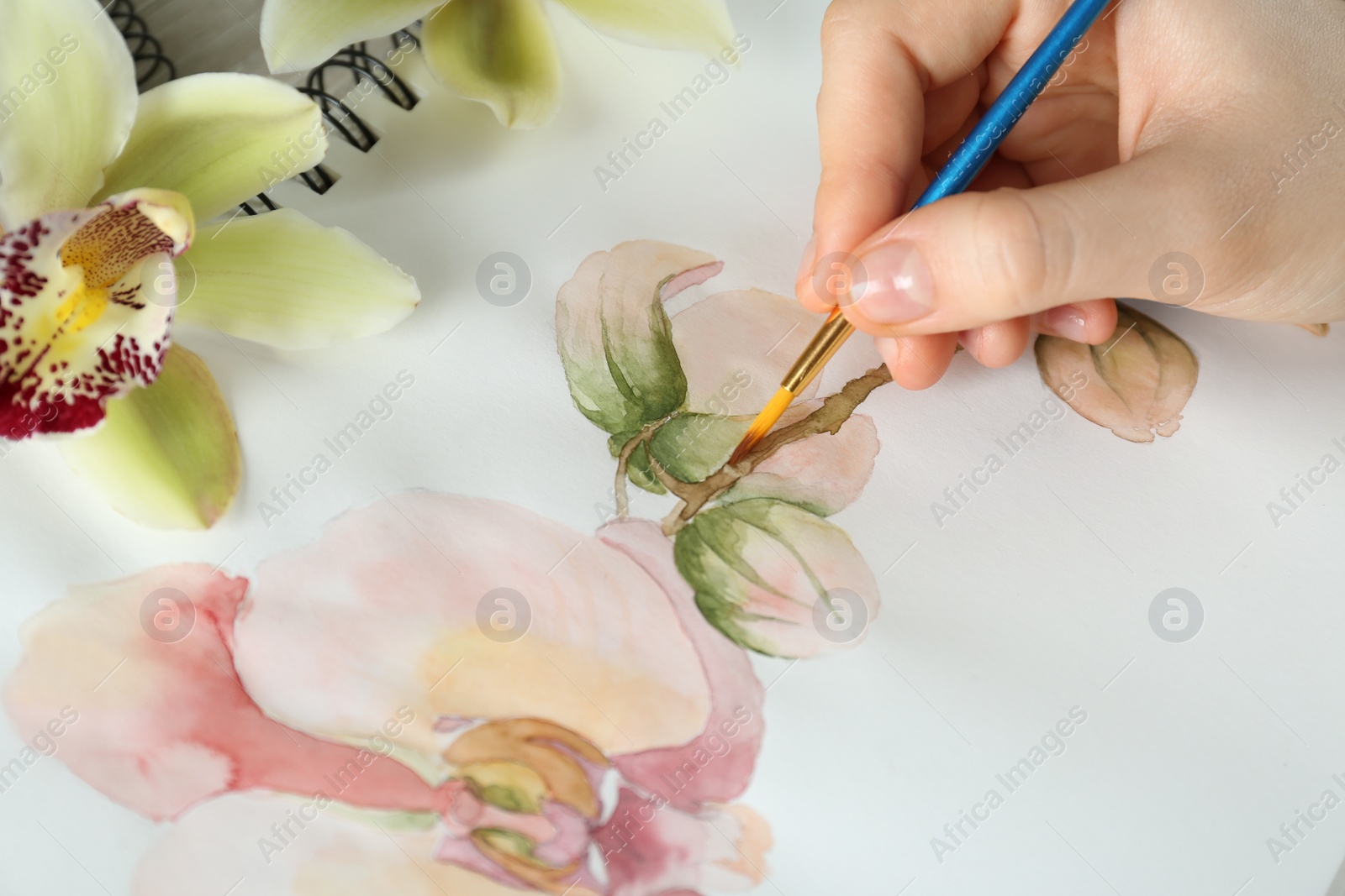 Photo of Woman drawing beautiful orchid flowers in sketchbook, closeup