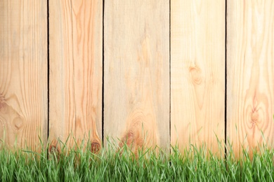 Photo of Fresh green grass near wooden fence. Space for text