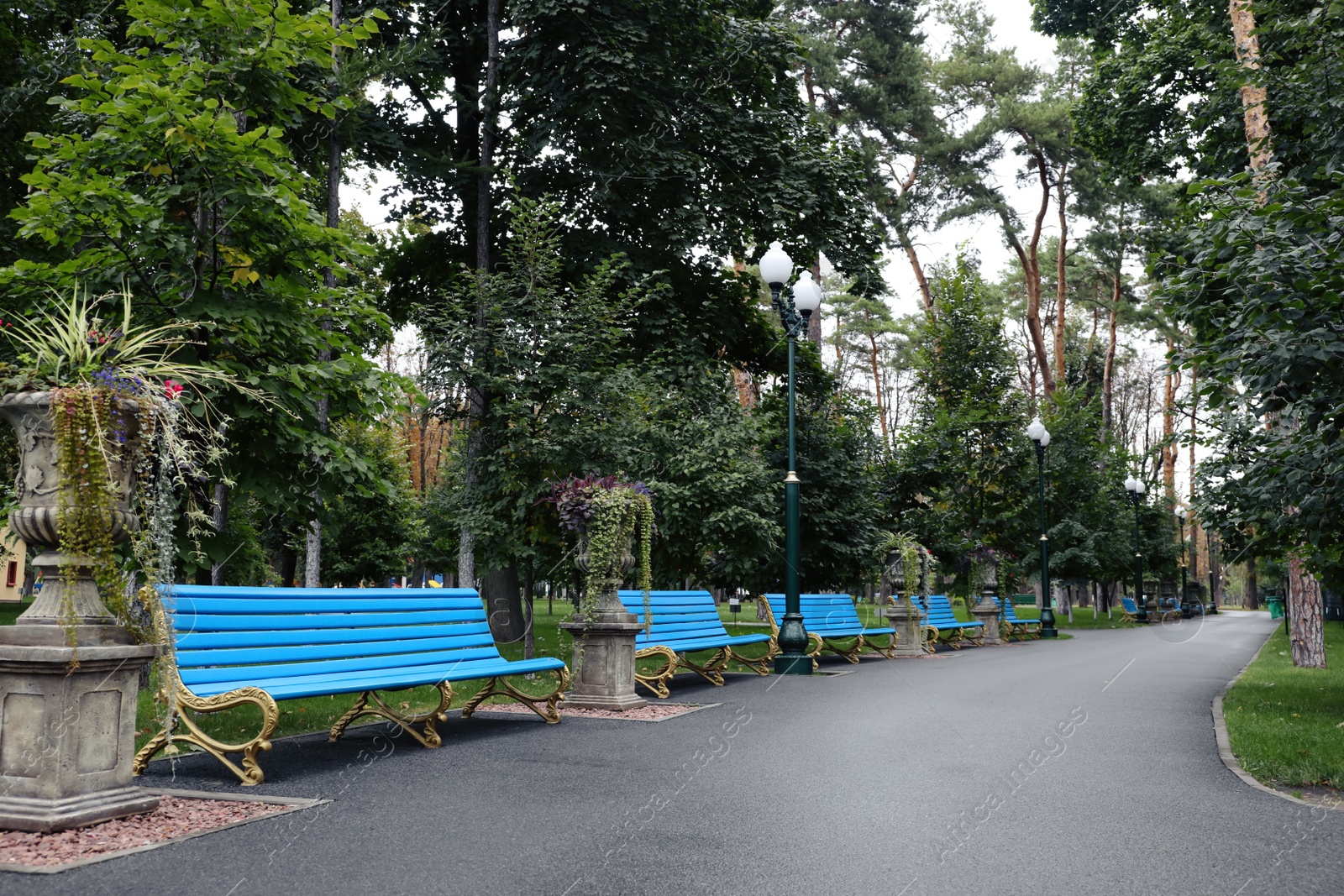 Photo of Beautiful view of park with blue wooden benches