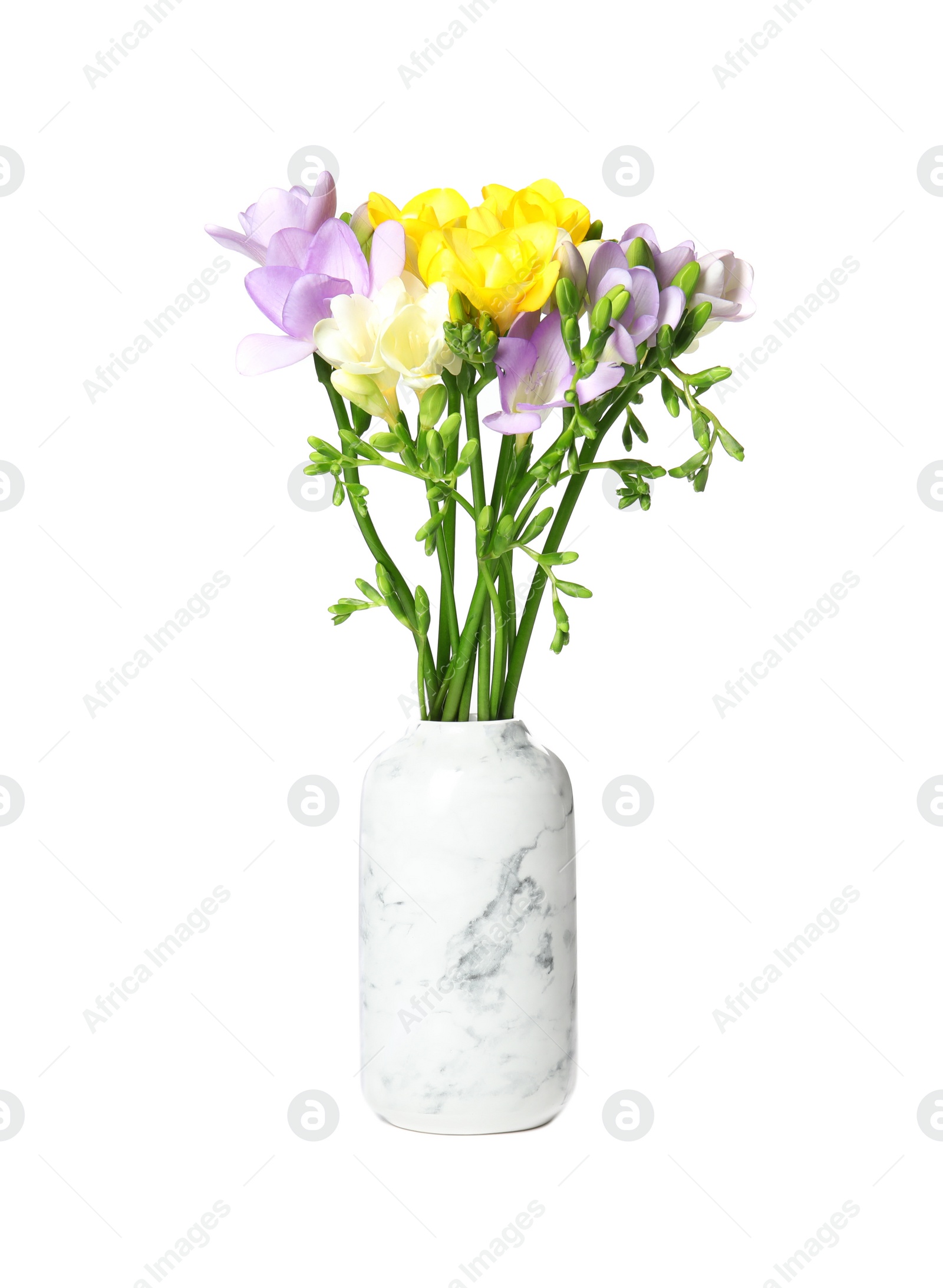 Photo of Bouquet of fresh freesia flowers in vase isolated on white