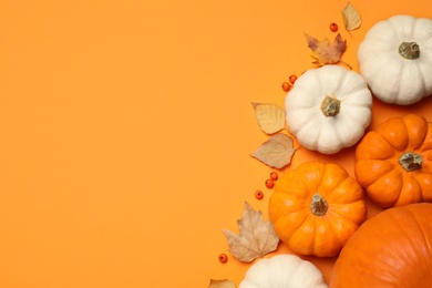 Photo of Different ripe pumpkins, autumn leaves and berries on orange background, flat lay. Space for text