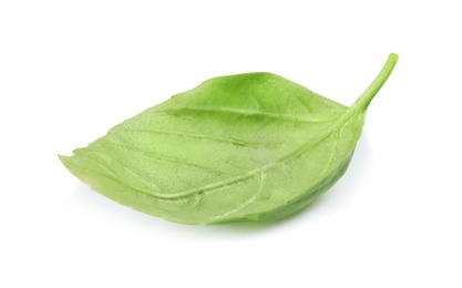 Photo of Fresh green basil leaf on white background