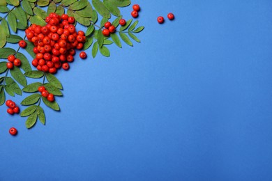 Photo of Fresh ripe rowan berries and green leaves on blue background, flat lay. Space for text