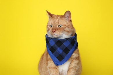 Photo of Cute ginger cat with bandana on yellow background. Adorable pet