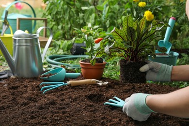 Photo of Woman transplanting plant into soil in garden, closeup. Space for text