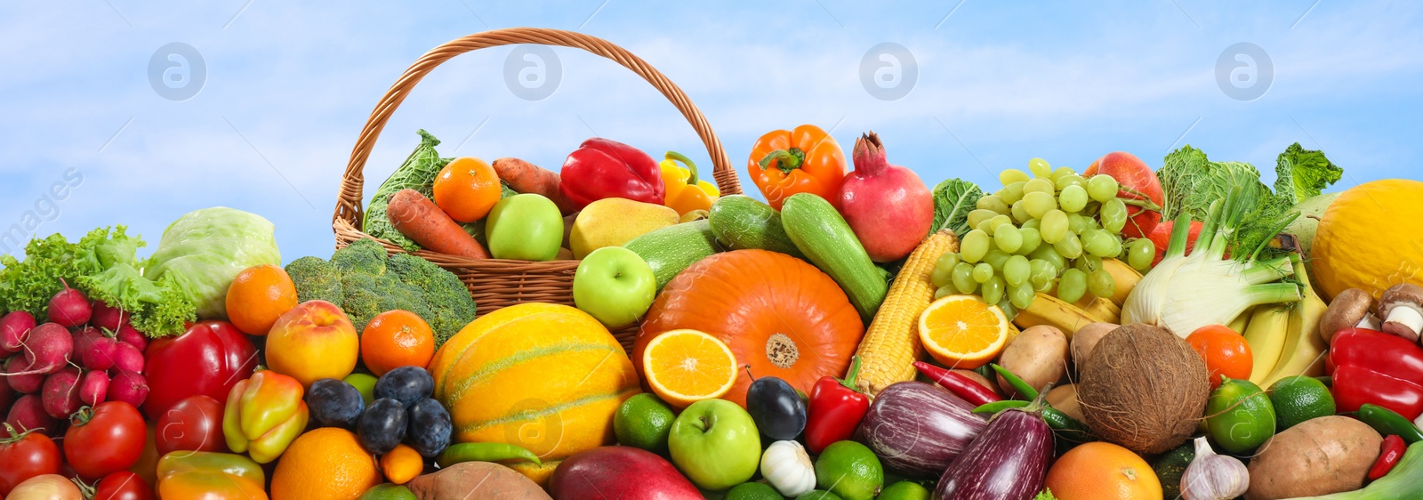 Image of Assortment of fresh organic fruits and vegetables outdoors. Banner design