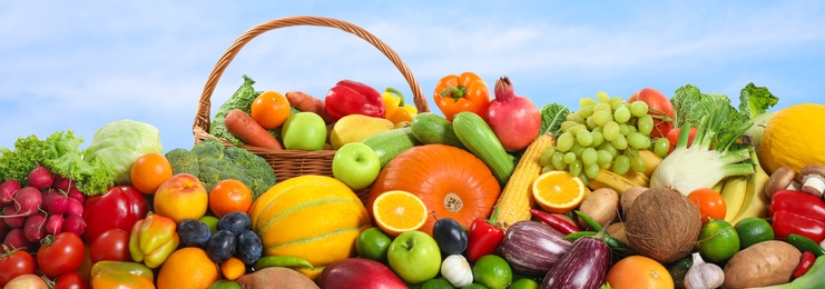 Image of Assortment of fresh organic fruits and vegetables outdoors. Banner design