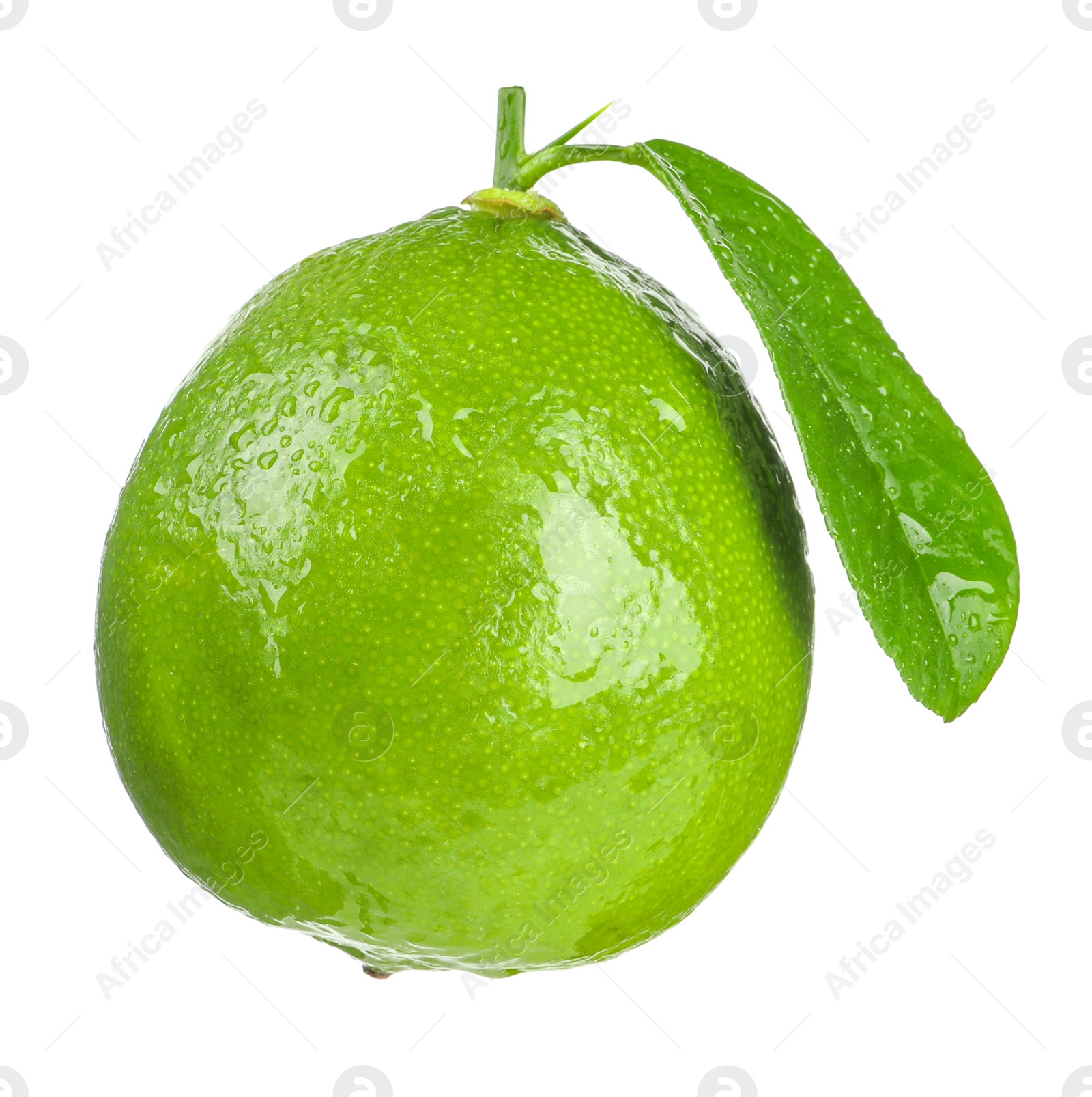 Photo of Fresh green ripe lime with wet leaf isolated on white