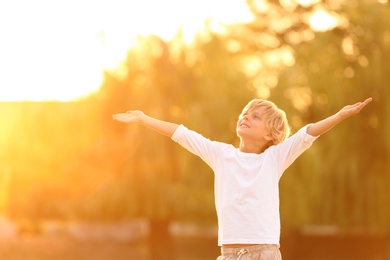 Cute little boy outdoors at sunset. Child spending time in nature