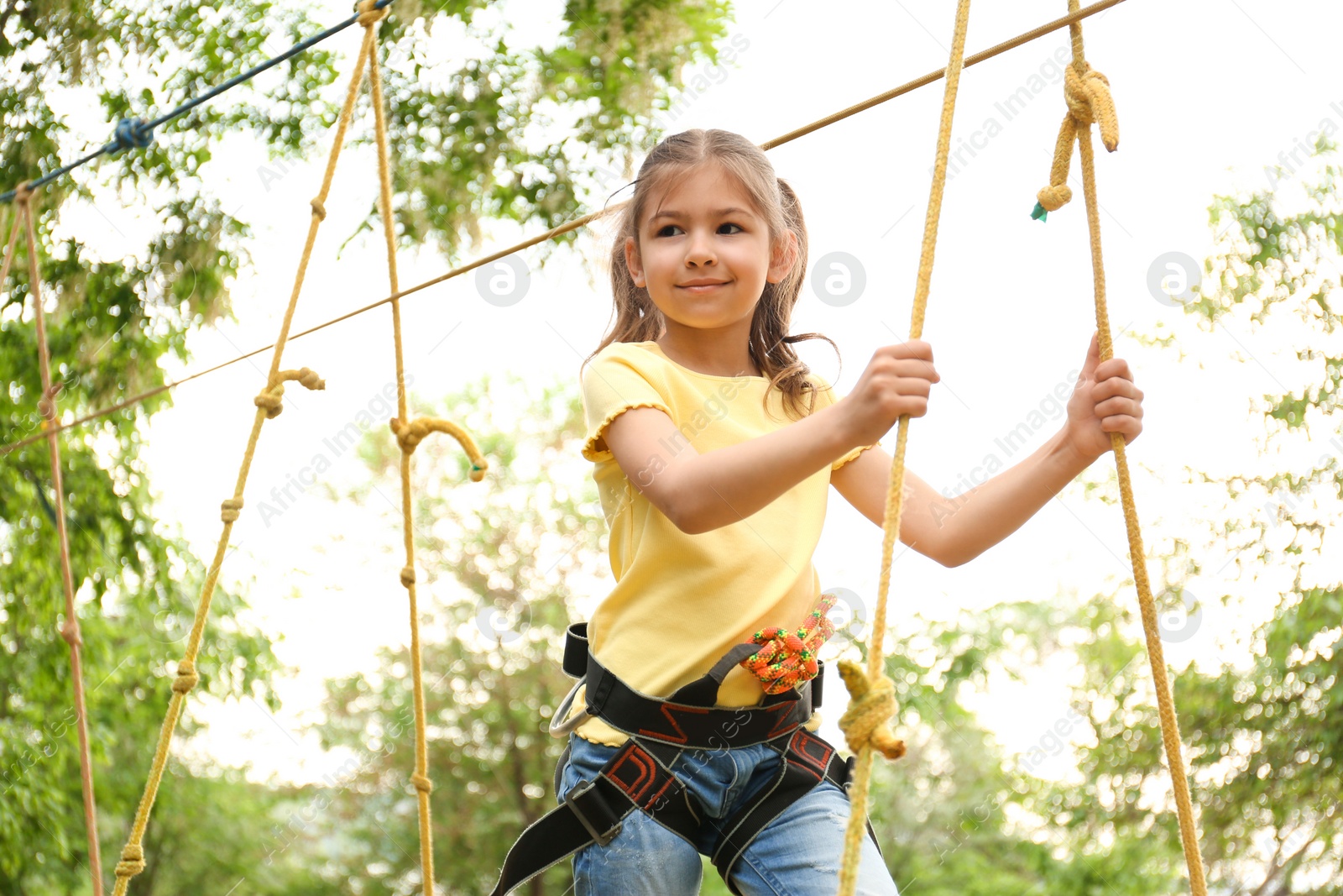 Photo of Little girl climbing in adventure park. Summer camp