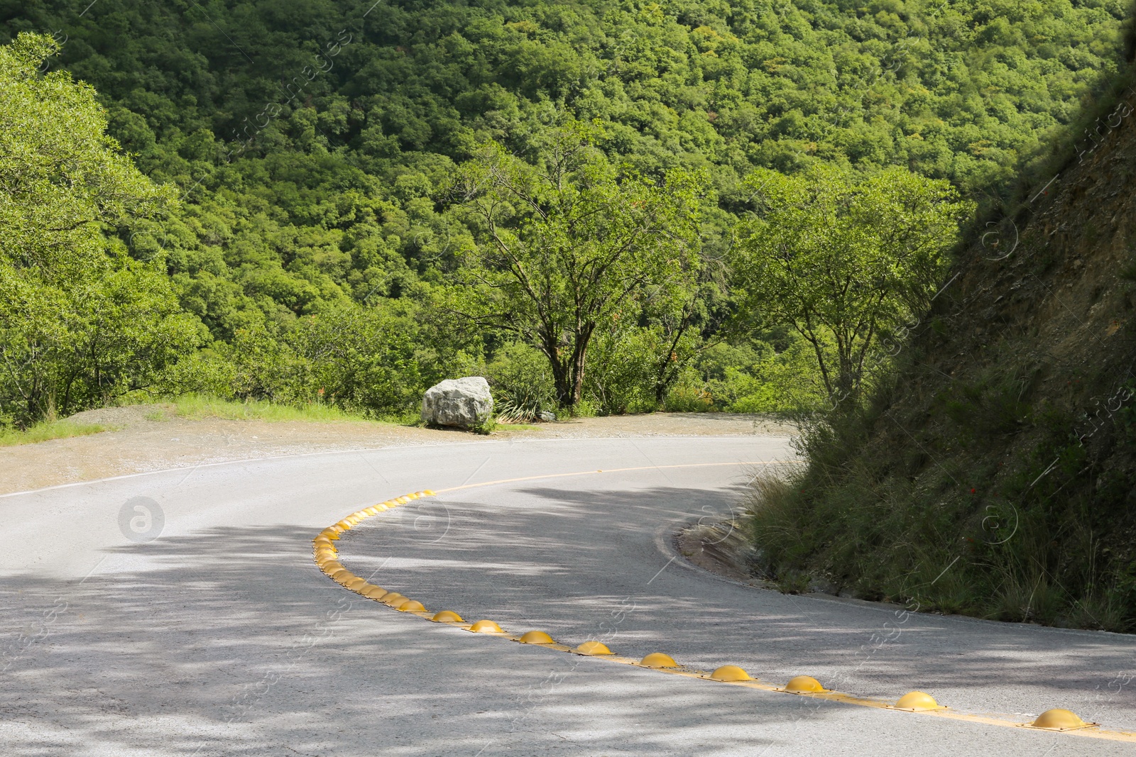 Photo of Asphalt road with yellow line near trees outdoors