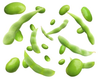 Image of Fresh edamame soybeans and pods falling on white background