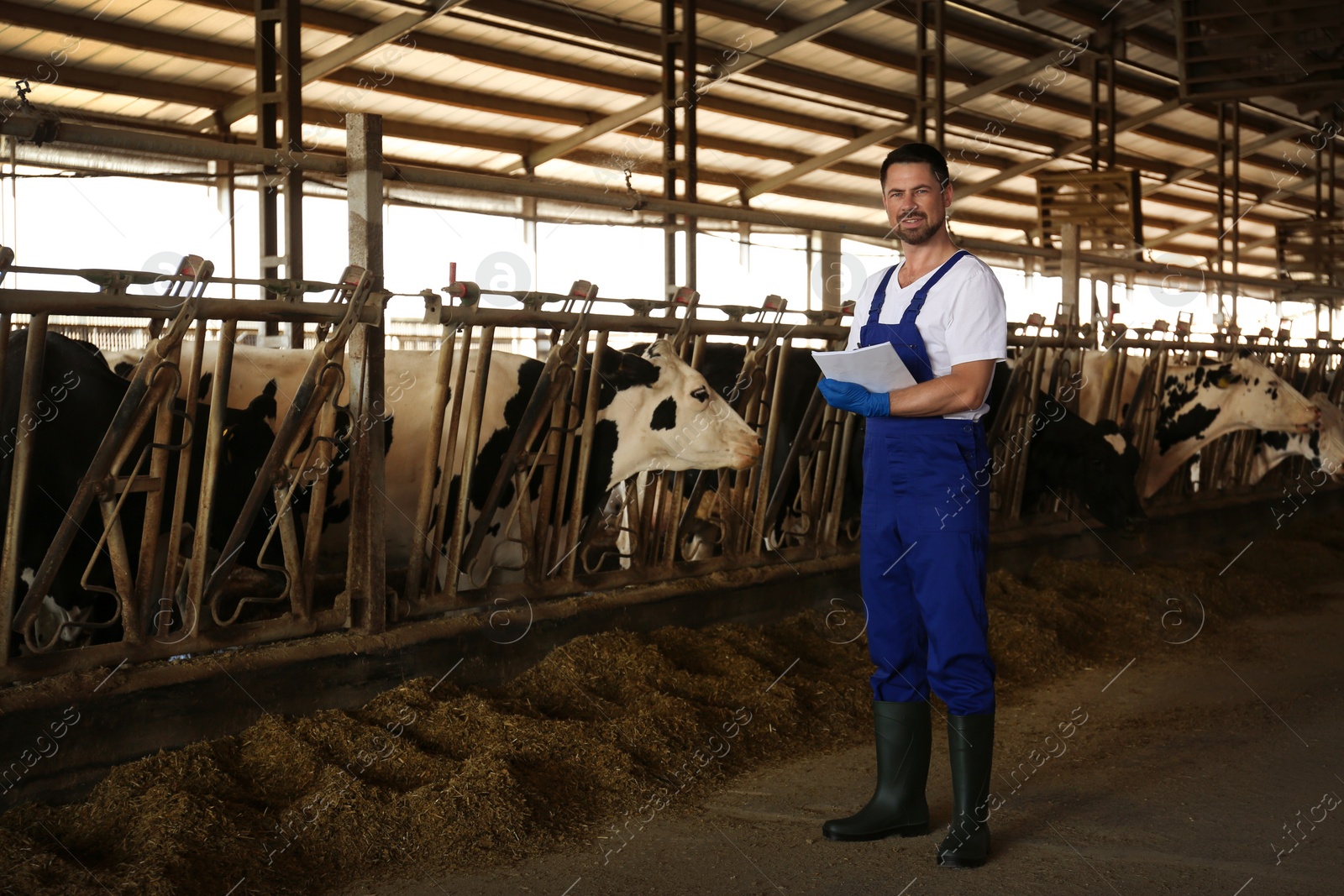 Photo of Worker with notes in cowshed on farm. Animal husbandry