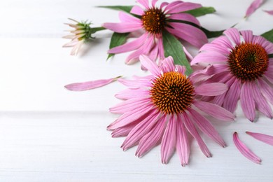 Beautiful echinacea flowers on white wooden table, space for text