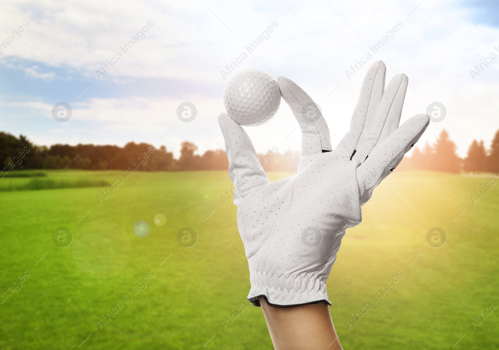 Image of Player holding golf ball in park on sunny day, closeup