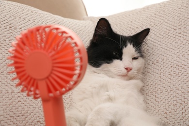 Photo of Cute fluffy cat enjoying air flow from fan indoors. Summer heat