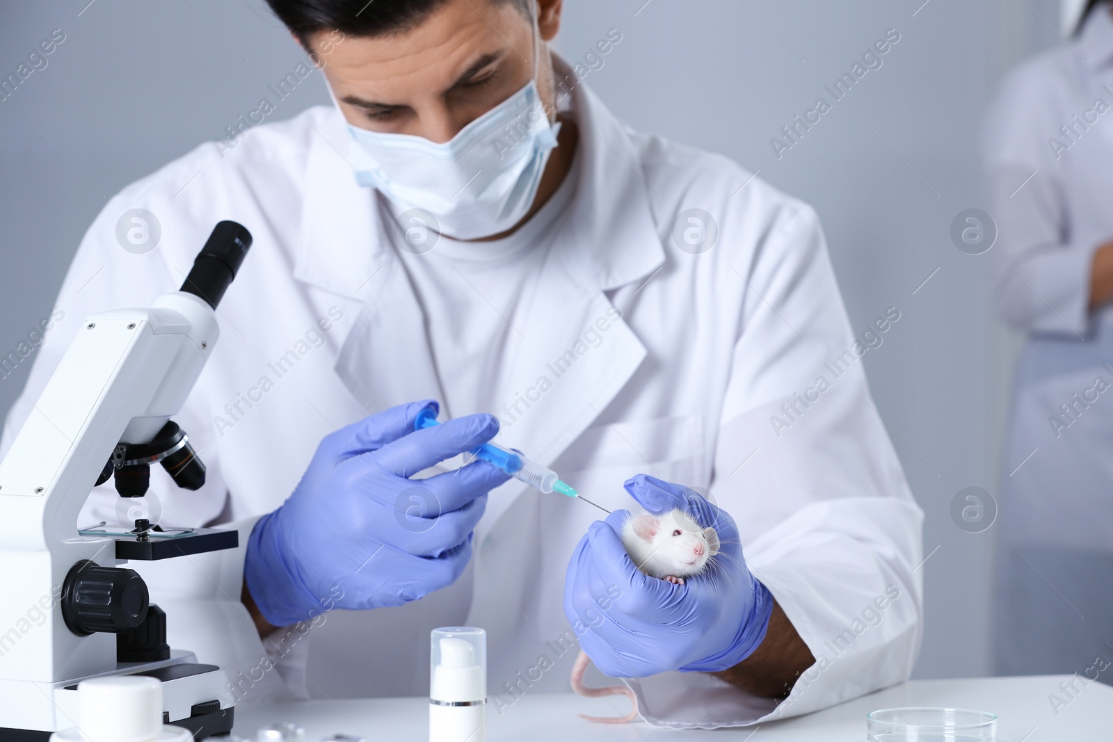 Photo of Scientist with syringe and rat in chemical laboratory. Animal testing