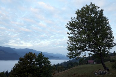 Photo of Picturesque view of house in mountains covered with fog