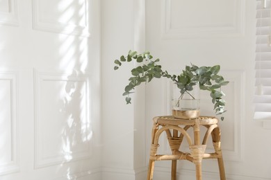 Photo of Beautiful eucalyptus branches in vase on wicker table indoors, space for text