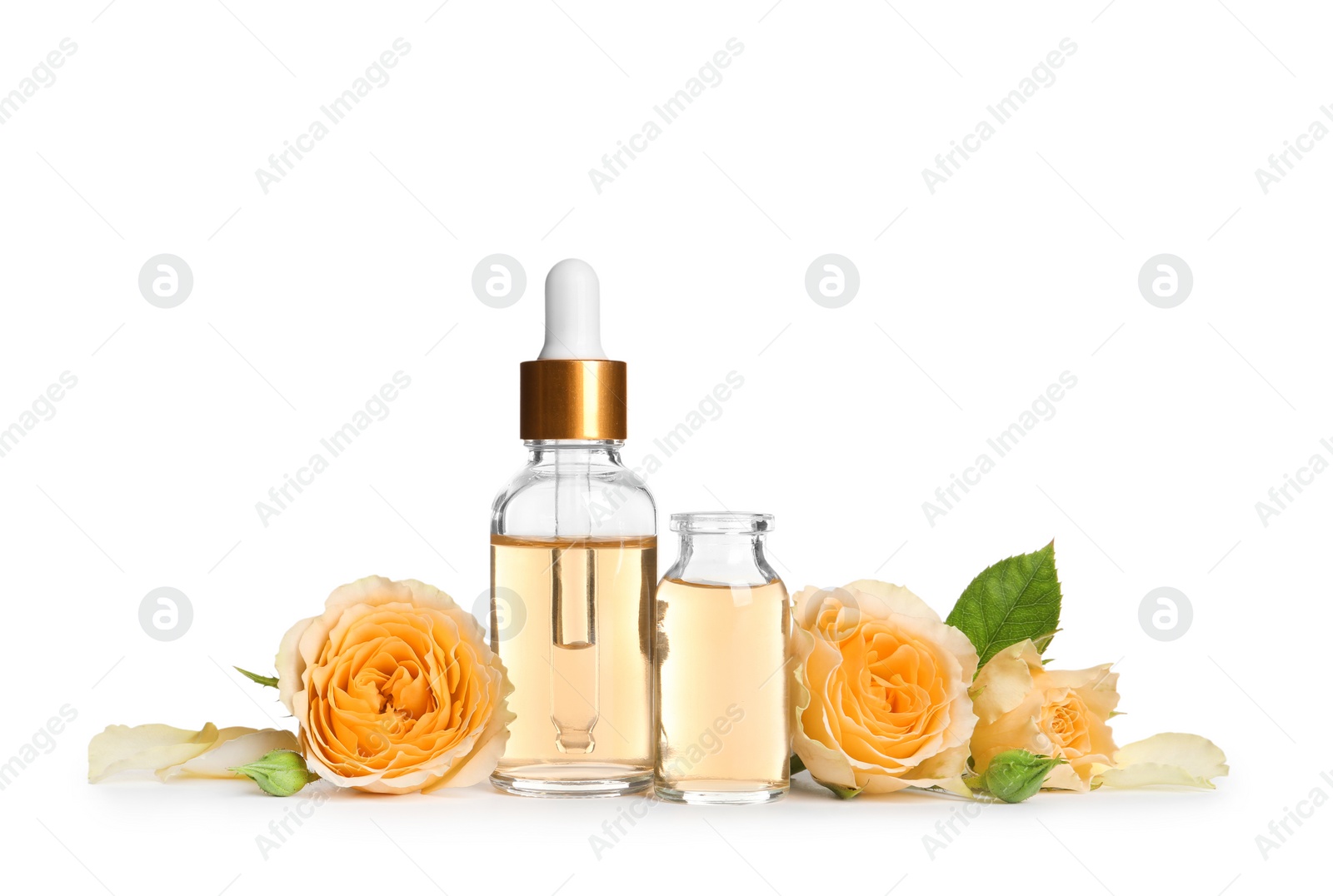 Photo of Bottles of rose essential oil and flowers isolated on white