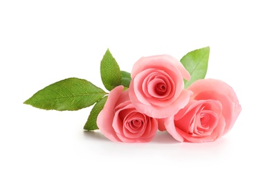 Photo of Beautiful roses on white background