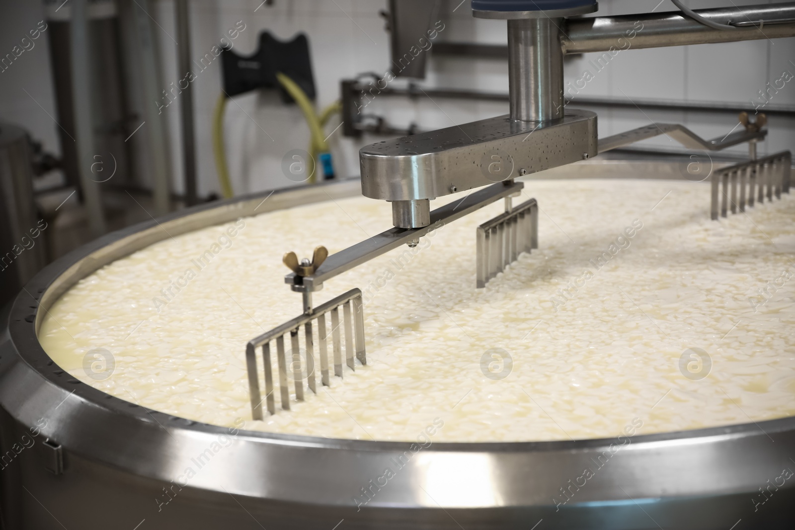 Photo of Curd and whey in tank at cheese factory