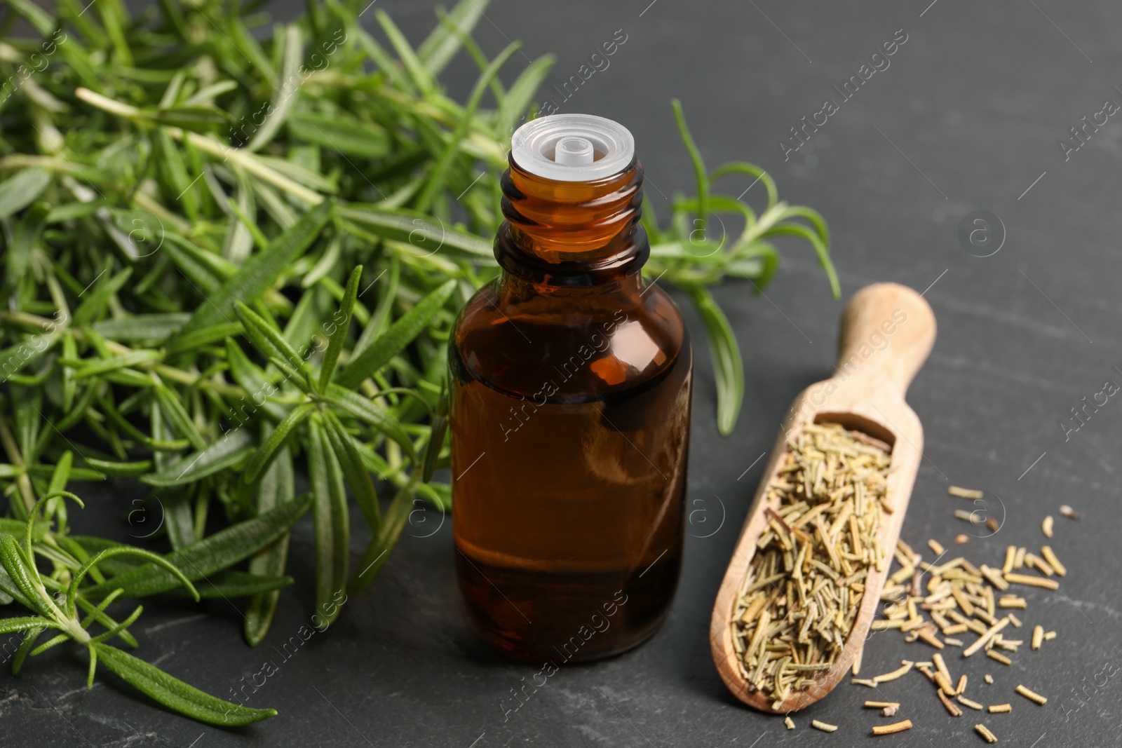 Photo of Bottle of essential oil, fresh and dry rosemary on gray table