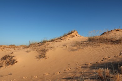 Picturesque view of desert on sunny day