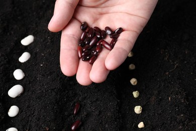 Photo of Woman with beans near fertile soil, closeup. Vegetable seeds