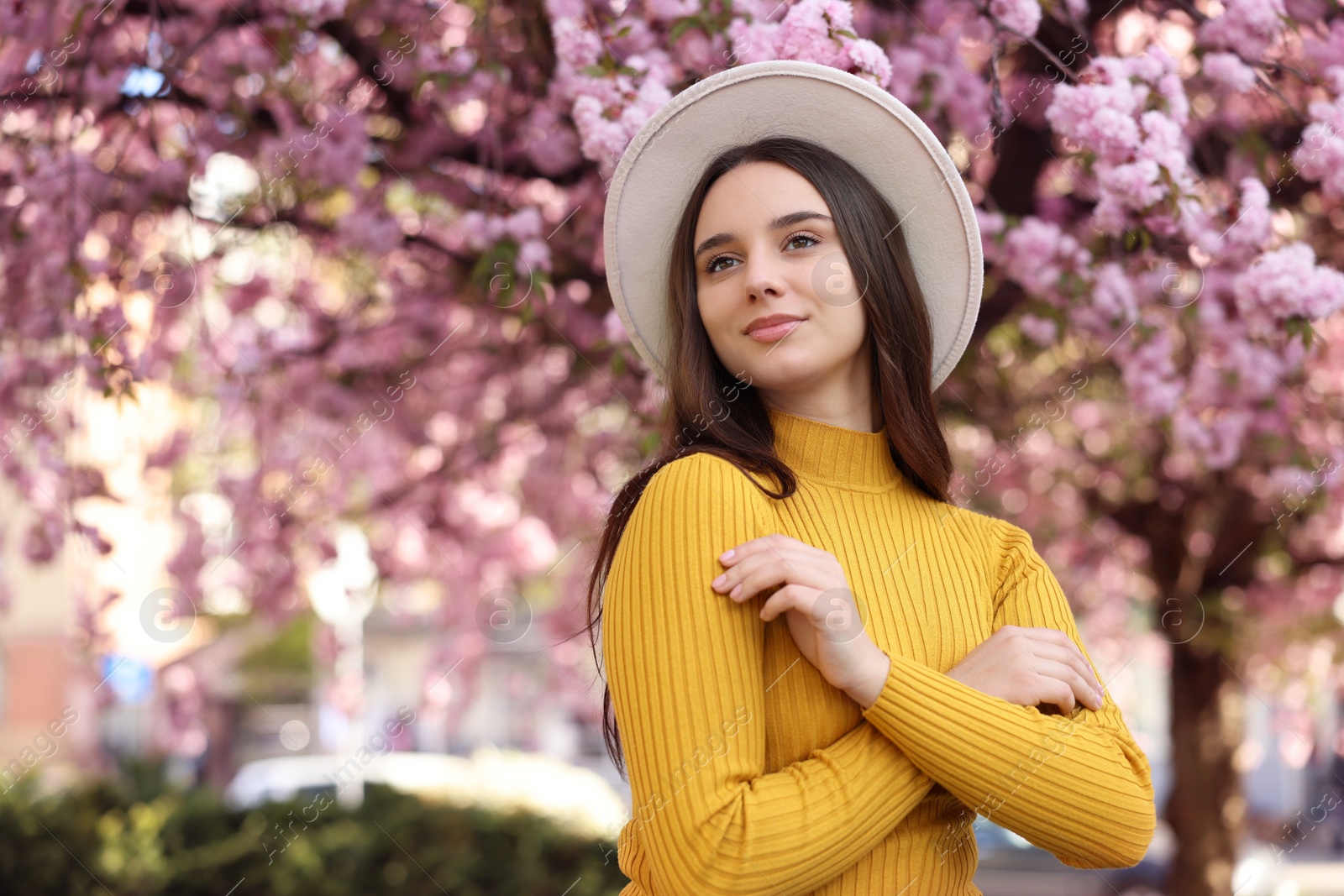 Photo of Beautiful woman in hat near blossoming tree on spring day, space for text