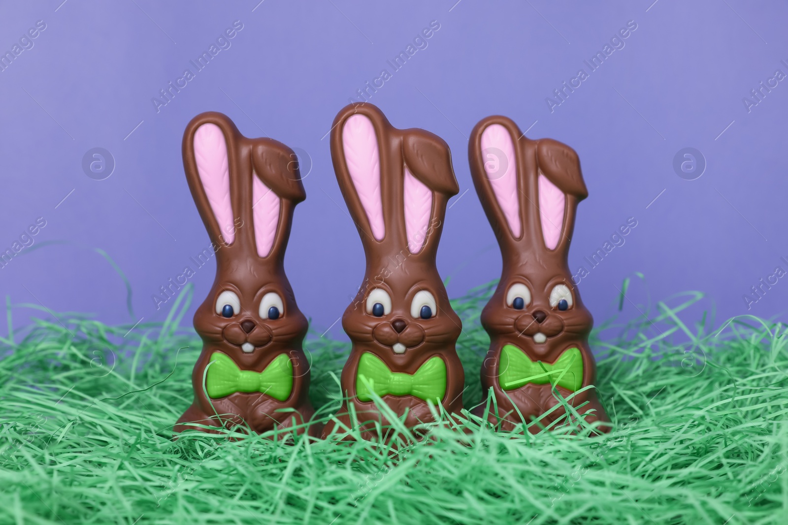 Photo of Easter celebration. Funny chocolate bunnies on grass against violet background