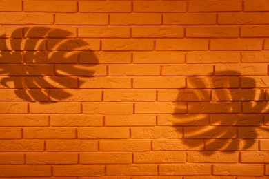 Image of Shadows of monstera leaves on orange brick wall