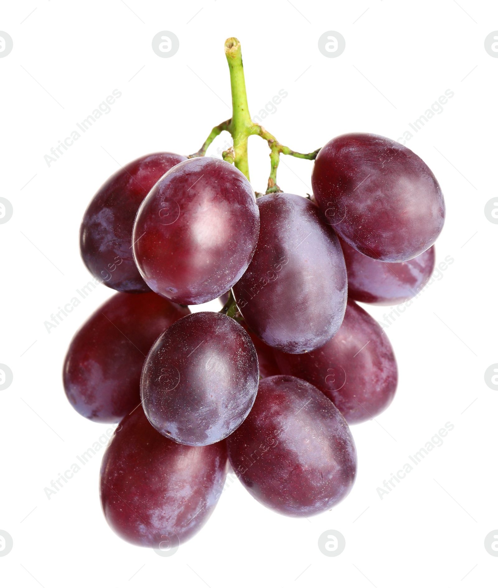 Photo of Fresh ripe juicy pink grapes isolated on white