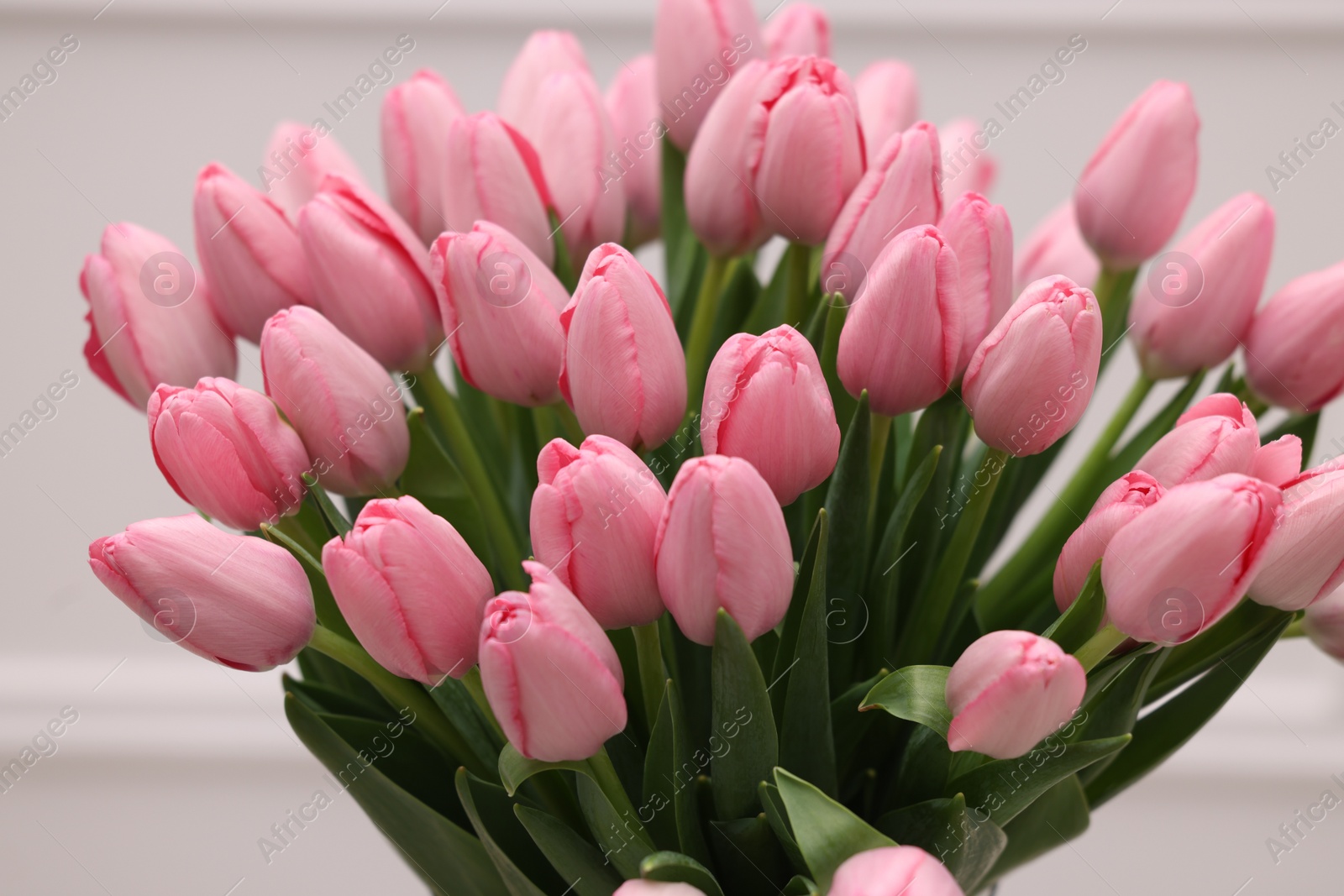 Photo of Bouquet of beautiful pink tulips near white wall, closeup
