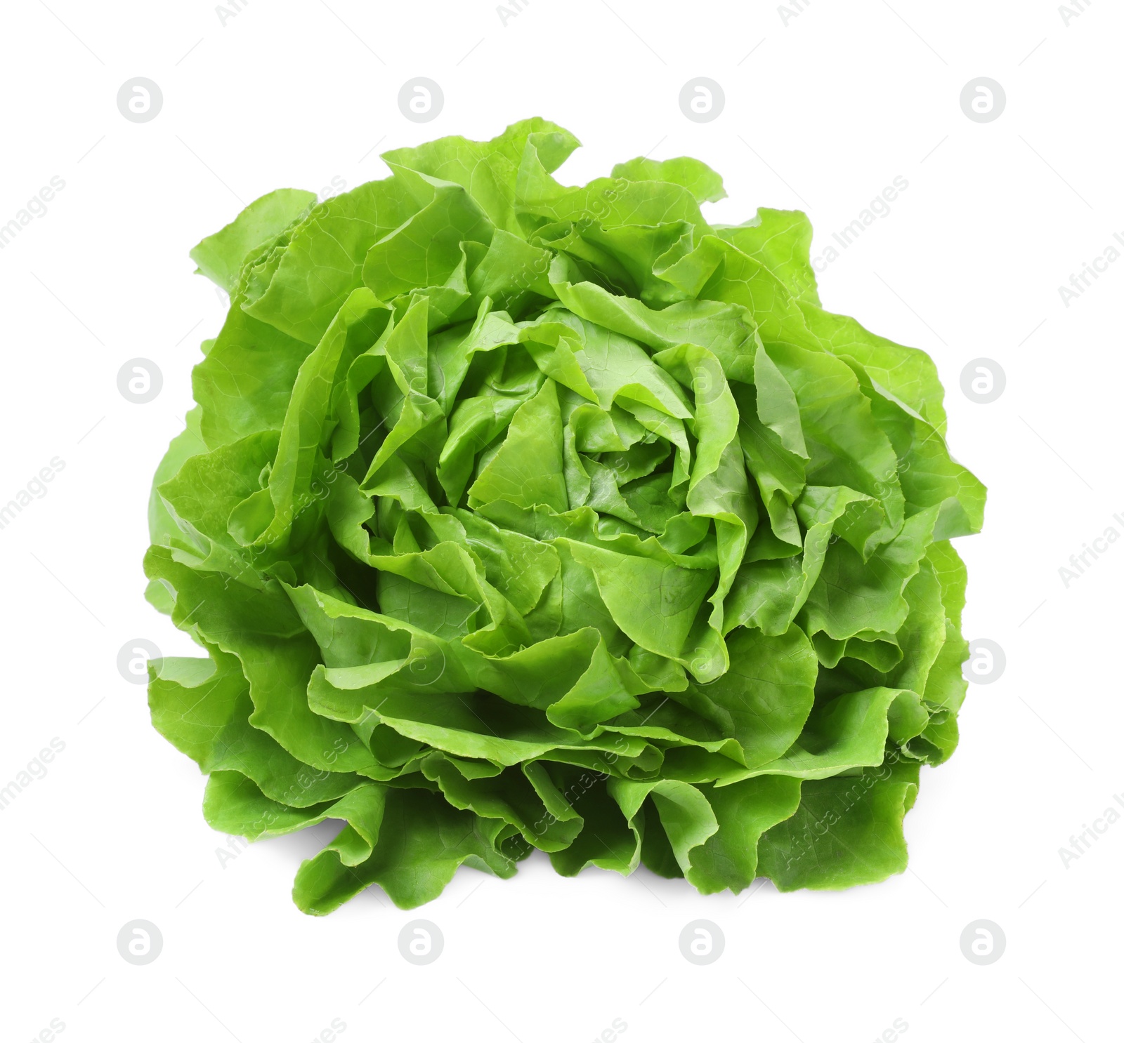 Photo of Fresh green butter lettuce head isolated on white