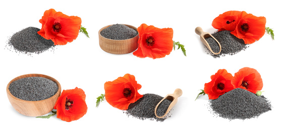 Image of Collage with poppy seeds on white background. Banner design