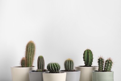 Photo of Different cacti in pots on white background, space for text