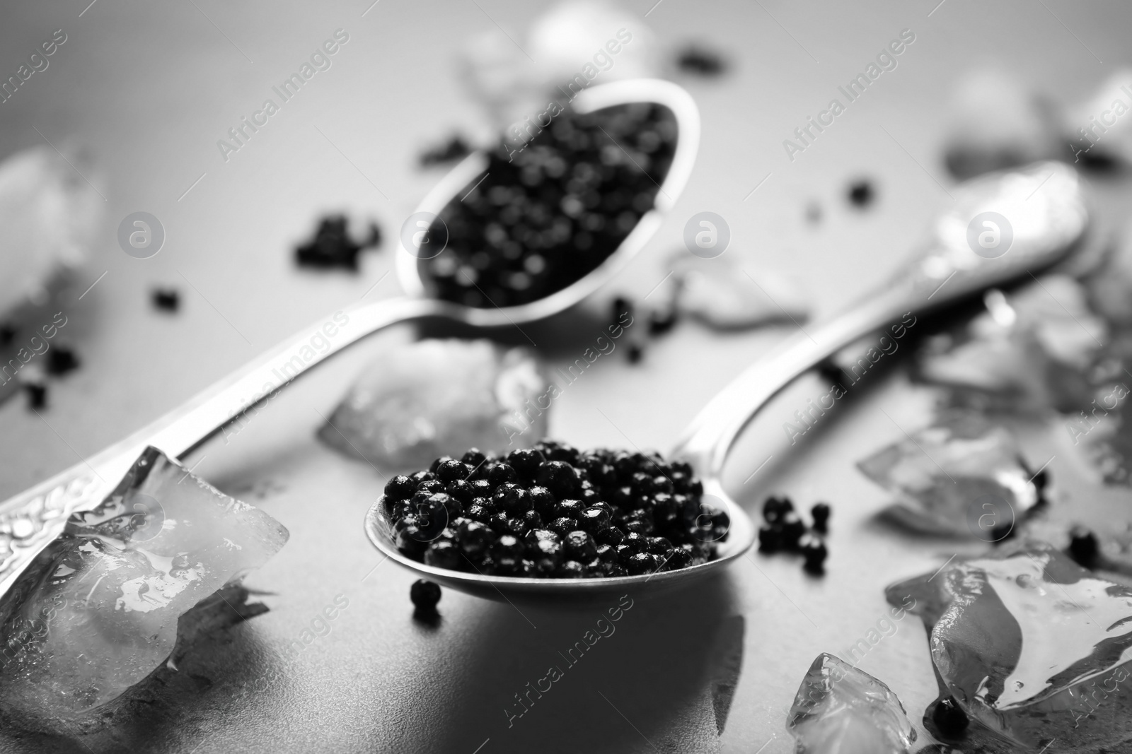 Photo of Metal spoons with black caviar and ice cubes on grey background