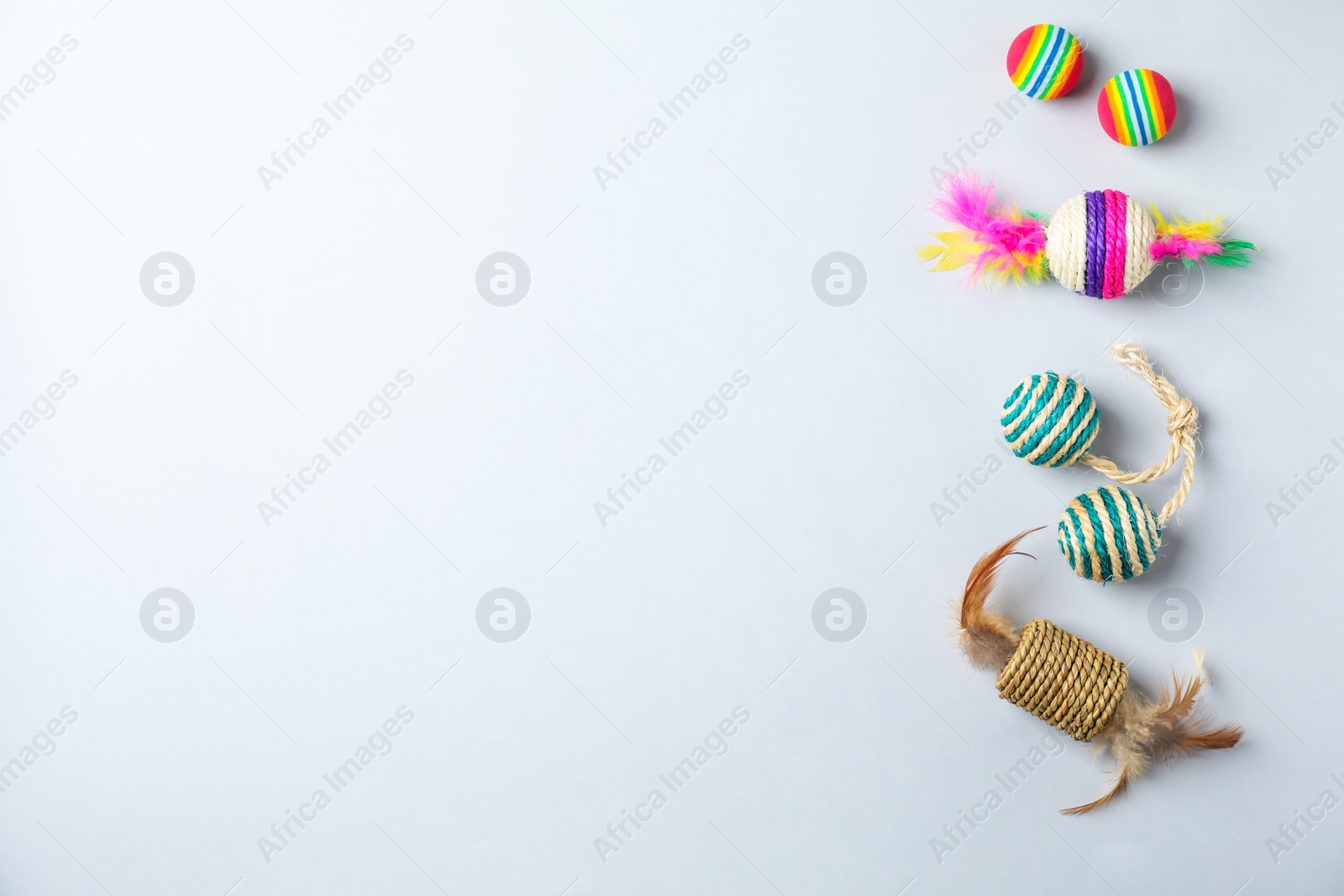 Photo of Flat lay composition with accessories for cat on light background. Pet care