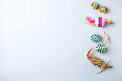 Flat lay composition with accessories for cat on light background. Pet care