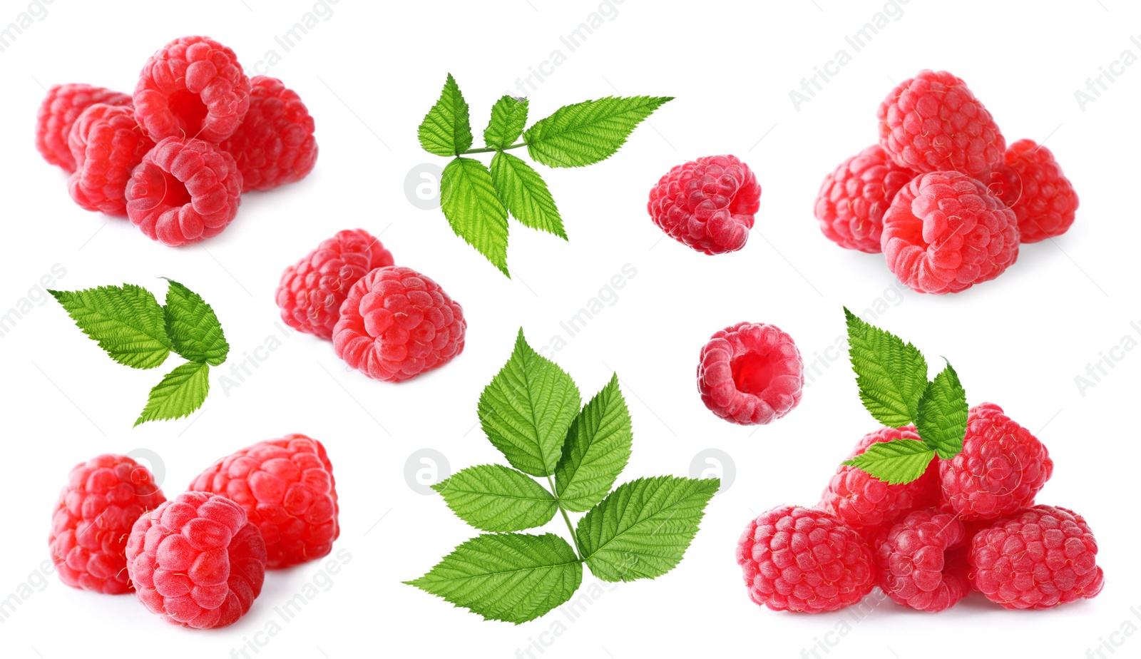 Image of Set of fresh ripe raspberries with green leaves on white background. Banner design