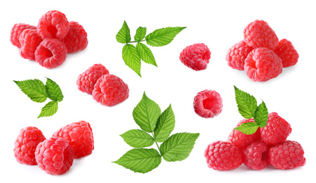 Set of fresh ripe raspberries with green leaves on white background. Banner design